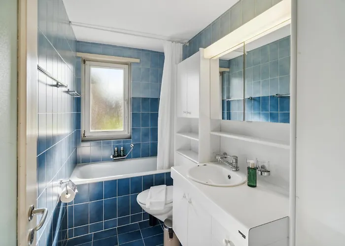 Affordable Comfort In Zurich